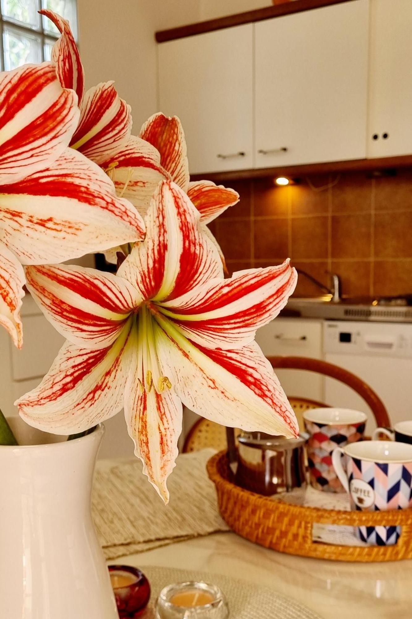 Apartment Hana Ičići 외부 사진